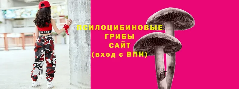 Псилоцибиновые грибы Magic Shrooms  MEGA   Невельск  где можно купить наркотик 